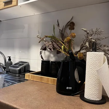 Delete 5 - Zemunske Kapije Appartamento Belgrado